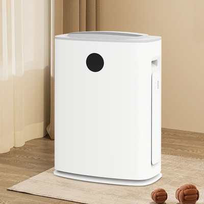 acheter Particules de fumée de pollen Purificateur d'air Humidificateur Déshumidificateur 2 en 1 750W fabrication en ligne