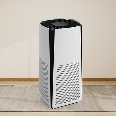 acheter Purificateur d'air à filtre Hepa avec mode de sommeil pour chambres fabrication en ligne