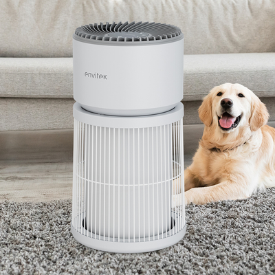acheter Vente à chaud Pet utilise un purificateur d'air pour la maison Allergies Animaux de compagnie Cheveux dans le lit fabrication en ligne