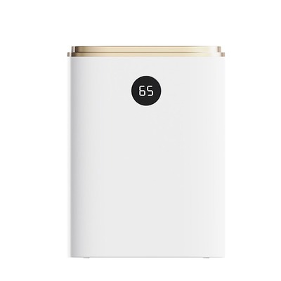 Purificateur d'air et déshumidificateur Hepa pour ménage