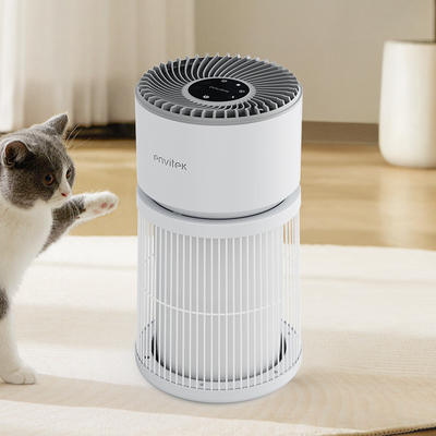 Purificateur d'air pour détecter l'odeur de fumée PM2 certifié LVD Hepa5