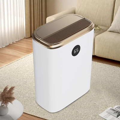 Mini humidificateur déshumidificateur purificateur d'air 2 en 18L/jour personnalisé